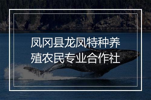 凤冈县龙凤特种养殖农民专业合作社
