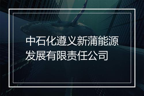 中石化遵义新蒲能源发展有限责任公司