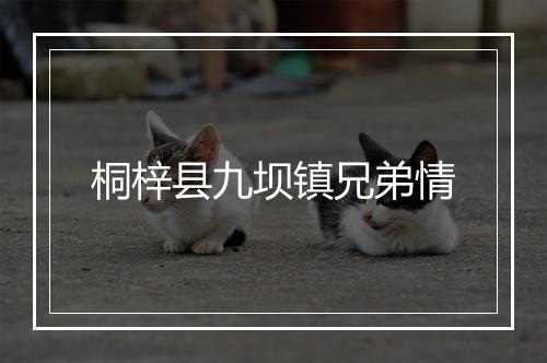 桐梓县九坝镇兄弟情