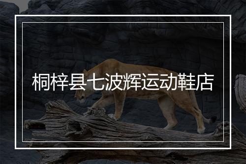 桐梓县七波辉运动鞋店