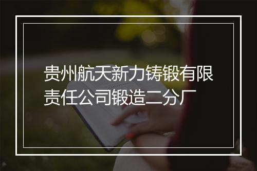 贵州航天新力铸锻有限责任公司锻造二分厂