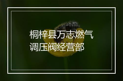 桐梓县万志燃气调压阀经营部