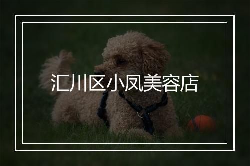 汇川区小凤美容店