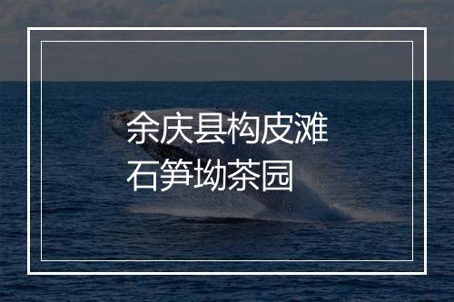 余庆县构皮滩石笋坳茶园