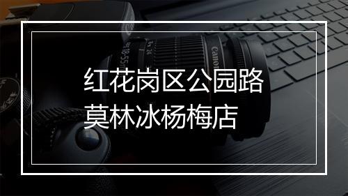 红花岗区公园路莫林冰杨梅店