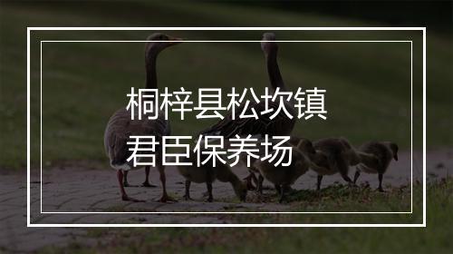 桐梓县松坎镇君臣保养场