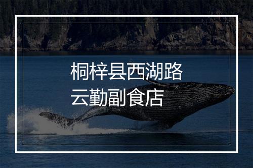 桐梓县西湖路云勤副食店