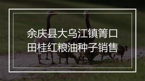 余庆县大乌江镇箐口田桂红粮油种子销售
