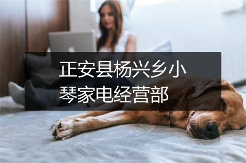 正安县杨兴乡小琴家电经营部