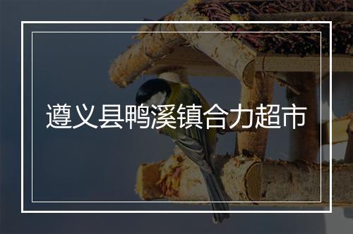 遵义县鸭溪镇合力超市