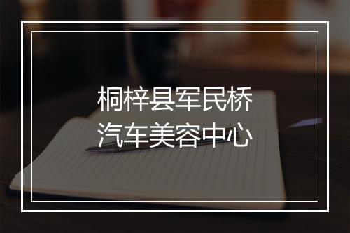 桐梓县军民桥汽车美容中心