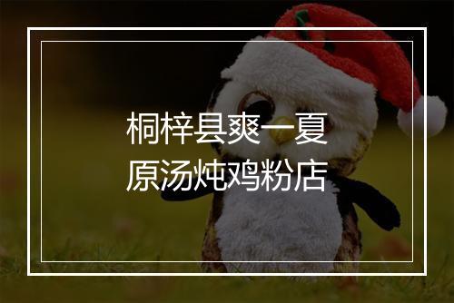 桐梓县爽一夏原汤炖鸡粉店