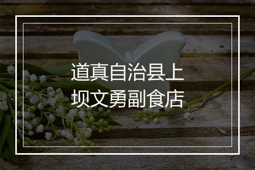 道真自治县上坝文勇副食店