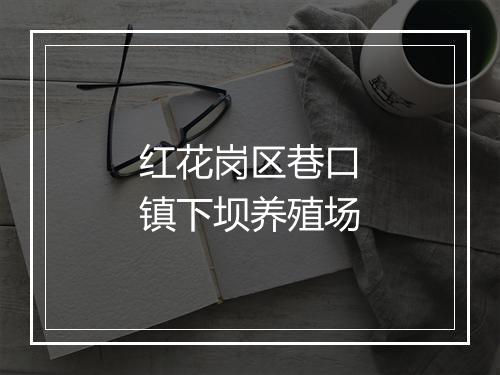 红花岗区巷口镇下坝养殖场