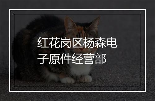 红花岗区杨森电子原件经营部