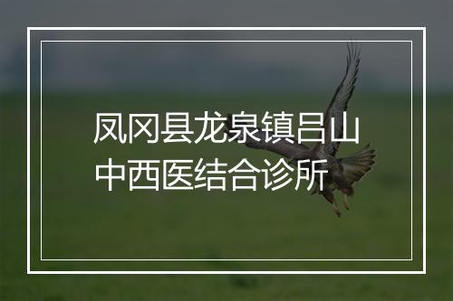凤冈县龙泉镇吕山中西医结合诊所