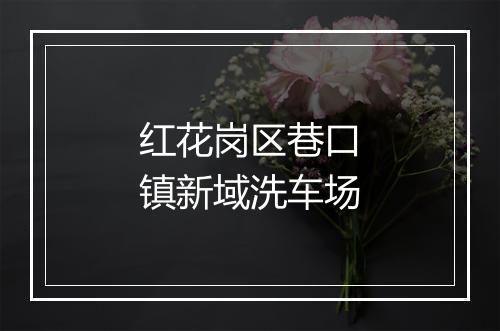 红花岗区巷口镇新域洗车场