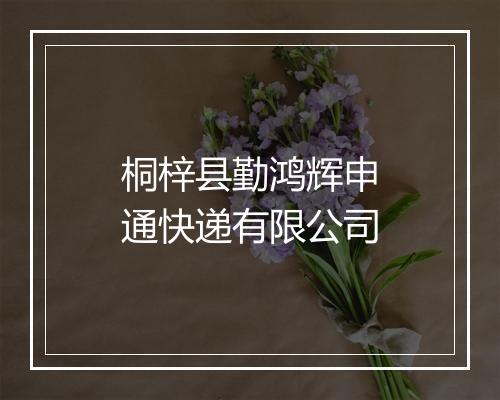 桐梓县勤鸿辉申通快递有限公司