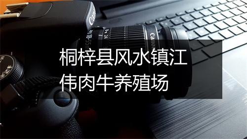 桐梓县风水镇江伟肉牛养殖场