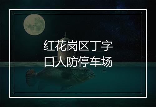 红花岗区丁字口人防停车场
