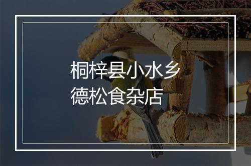 桐梓县小水乡德松食杂店