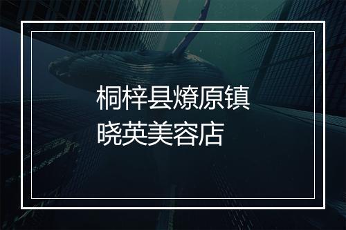 桐梓县燎原镇晓英美容店