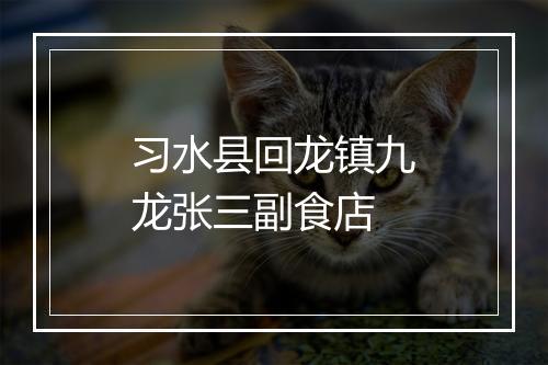 习水县回龙镇九龙张三副食店