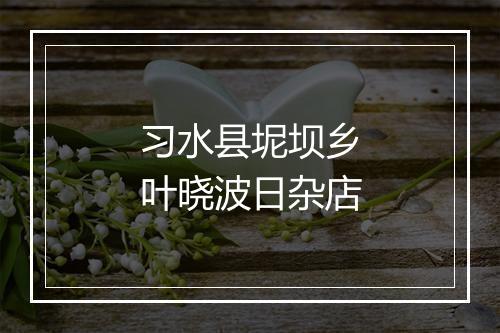 习水县坭坝乡叶晓波日杂店