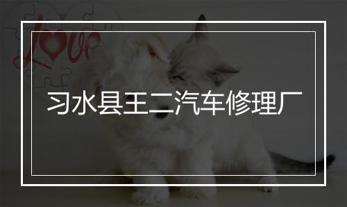 习水县王二汽车修理厂