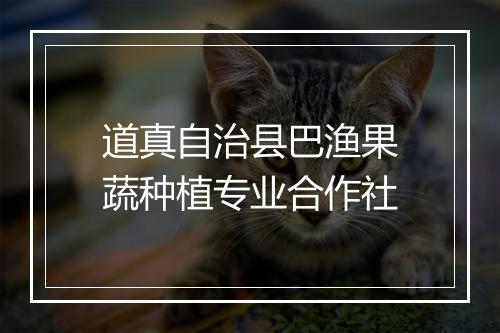 道真自治县巴渔果蔬种植专业合作社