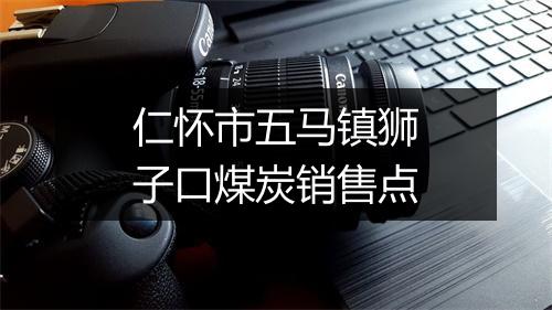 仁怀市五马镇狮子口煤炭销售点