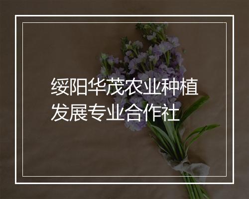 绥阳华茂农业种植发展专业合作社