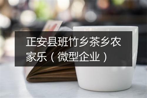 正安县班竹乡茶乡农家乐（微型企业）