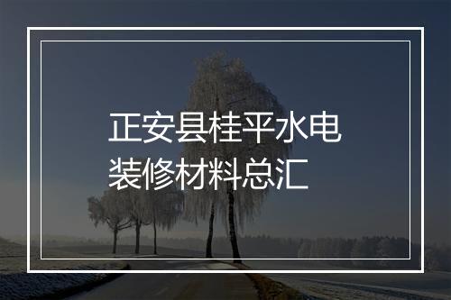 正安县桂平水电装修材料总汇
