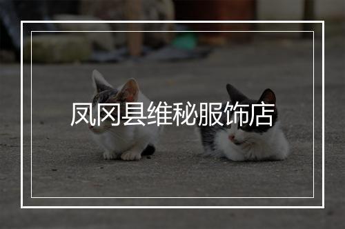 凤冈县维秘服饰店