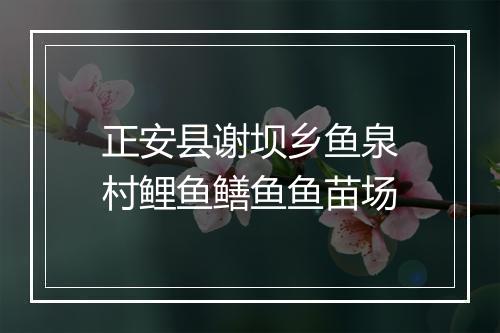 正安县谢坝乡鱼泉村鲤鱼鳝鱼鱼苗场
