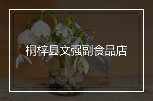 桐梓县文强副食品店