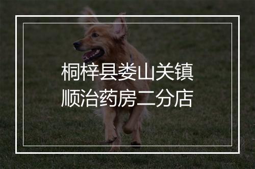 桐梓县娄山关镇顺治药房二分店