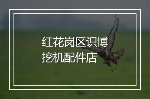 红花岗区识博挖机配件店