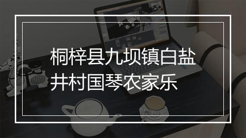 桐梓县九坝镇白盐井村国琴农家乐