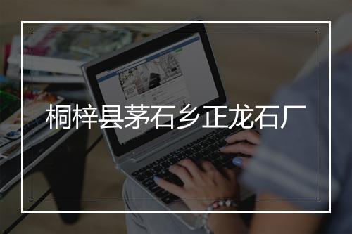 桐梓县茅石乡正龙石厂