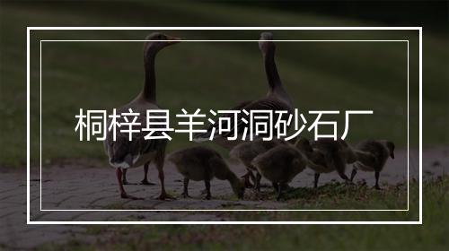 桐梓县羊河洞砂石厂