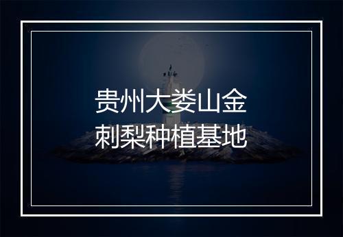 贵州大娄山金刺梨种植基地