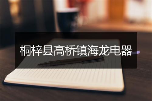 桐梓县高桥镇海龙电器