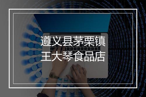 遵义县茅栗镇王大琴食品店