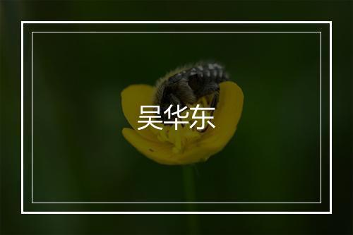 吴华东