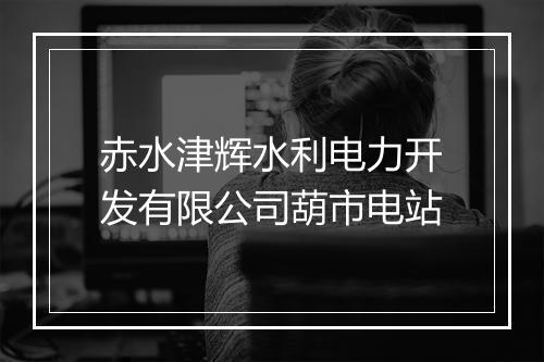 赤水津辉水利电力开发有限公司葫市电站