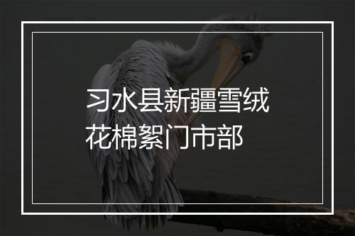 习水县新疆雪绒花棉絮门市部