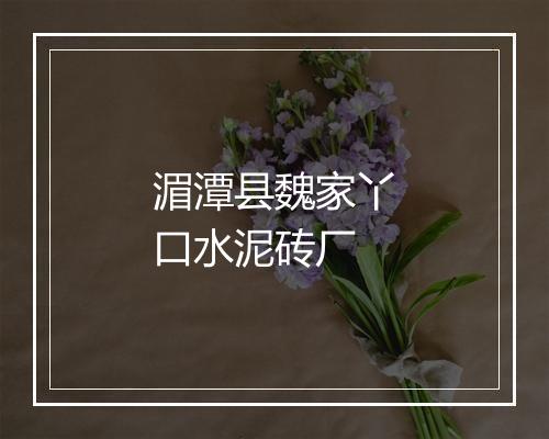 湄潭县魏家丫口水泥砖厂
