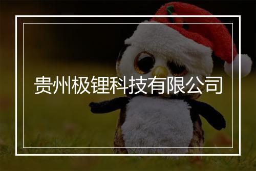 贵州极锂科技有限公司